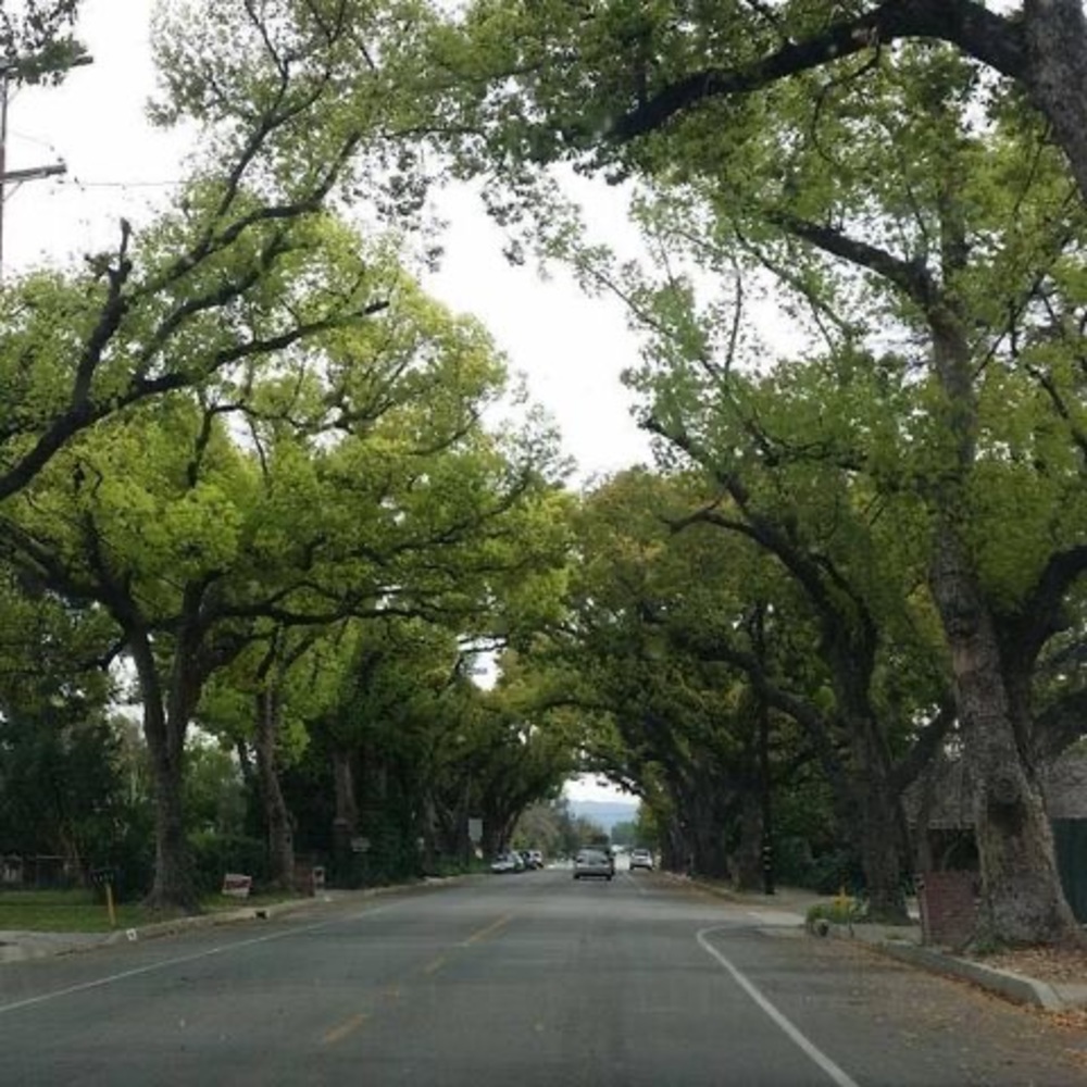 Meet your Posher, Katrina